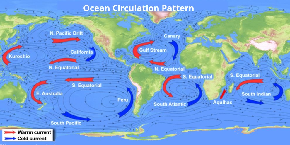 Ocean Current Circulation Deep Learning Module